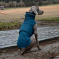 Load image into Gallery viewer, Waterproof & Dustproof Dog Jacket for Outdoor Adventures