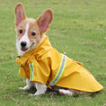 Load image into Gallery viewer, Waterproof Raincoat with Hood and Reflective Details for those Big Adventures Outdoors