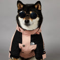 Load image into Gallery viewer, Pink Dog Face Raincoat with a Windproof Hood for Small and Large Dogs