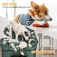 Load image into Gallery viewer, The Ultimate 15-Piece Dog Toys Variety Bumper Pack