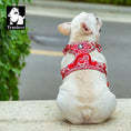 Load image into Gallery viewer, TrueLove Red Floral Pet Harness – No-Pull, Breathable & Reflective for Dogs & Cats