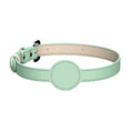 Load image into Gallery viewer, The 'found you!' AirTag dog collar