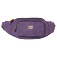 Load image into Gallery viewer, Canvas Dog Walking Waist Bag | Hands-Free Utility Bumbag