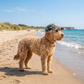 Load image into Gallery viewer, The Wag & Wander Sun-Shield Dog Cap