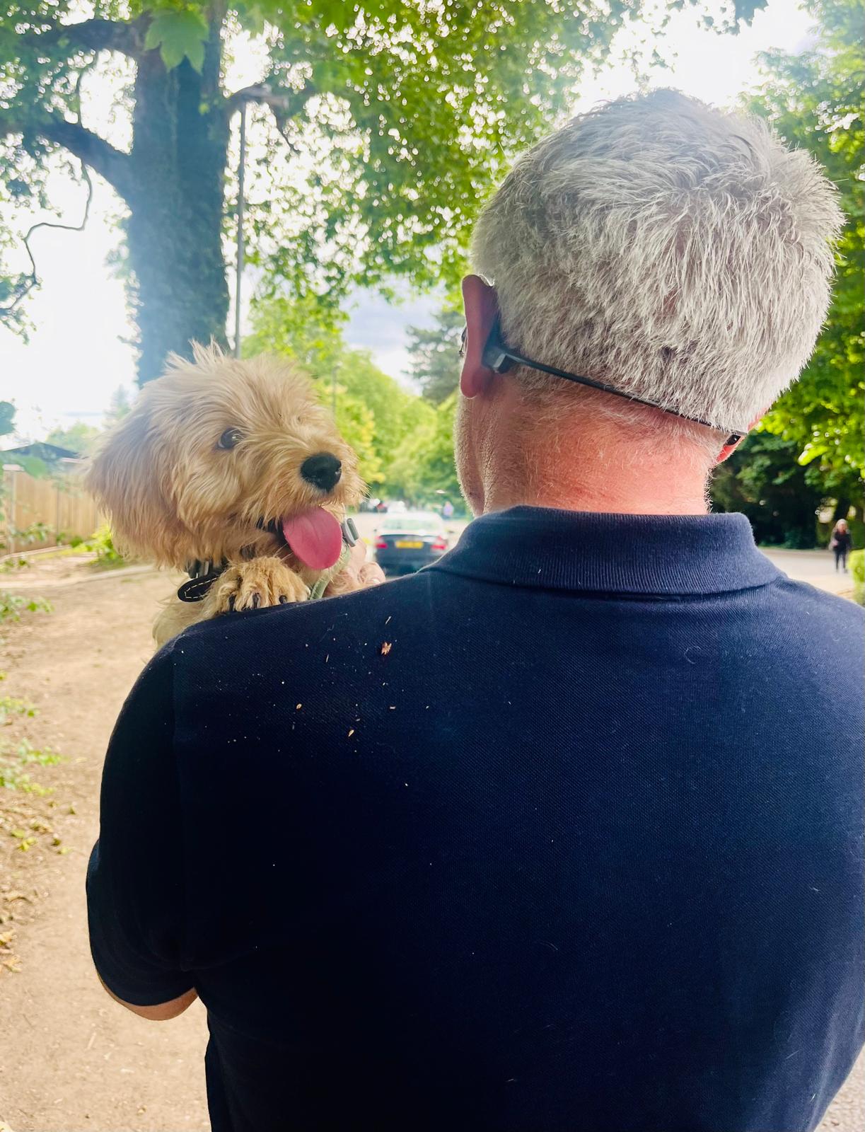 Puppy Harness vs. Collar: The 2026 Guide to Your First Walk