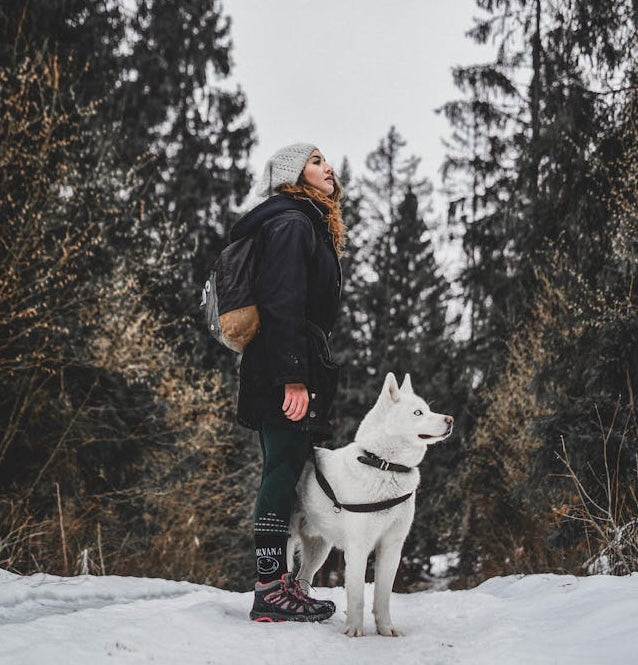 The UK Pawsome Guide: Top 20 Dog-Friendly Beauty Spot Trail Walks