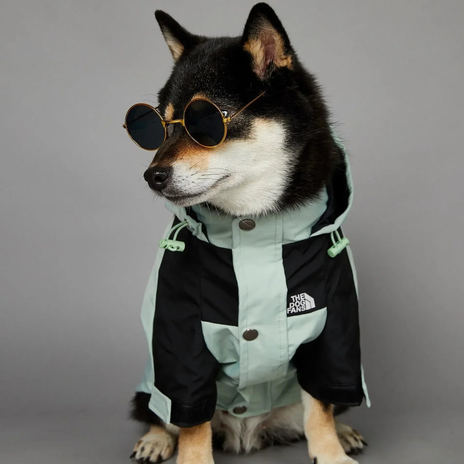 Apparel
