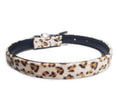 Load image into Gallery viewer, The Savannah Dog Collar
