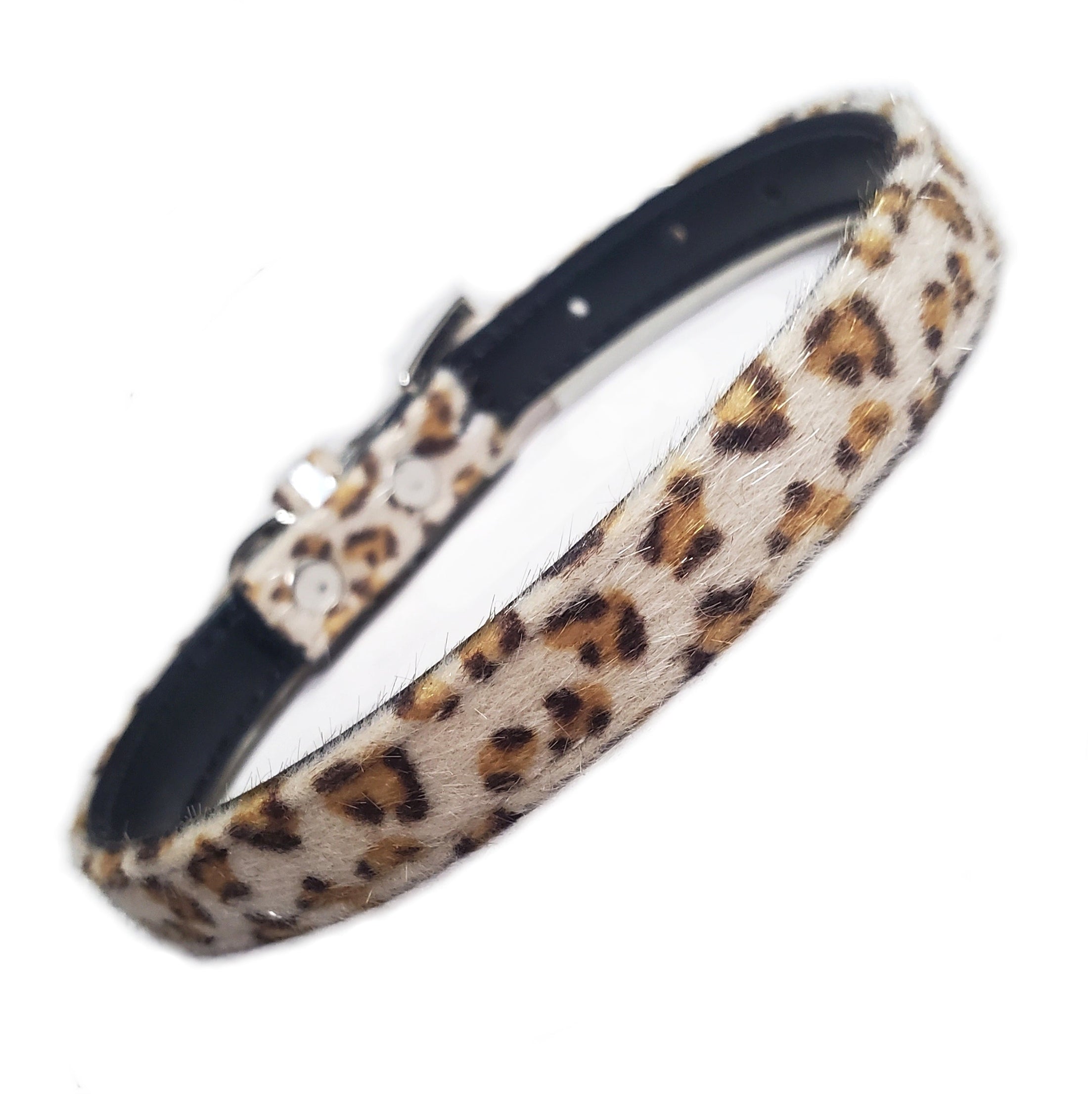 The Savannah Dog Collar