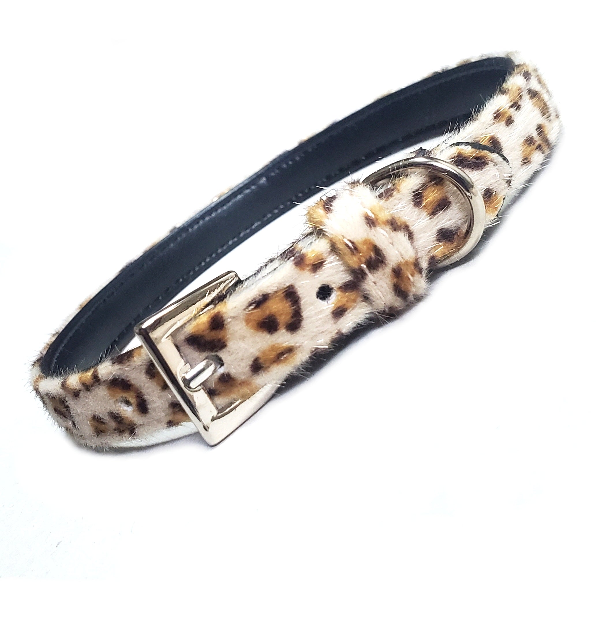 The Savannah Dog Collar