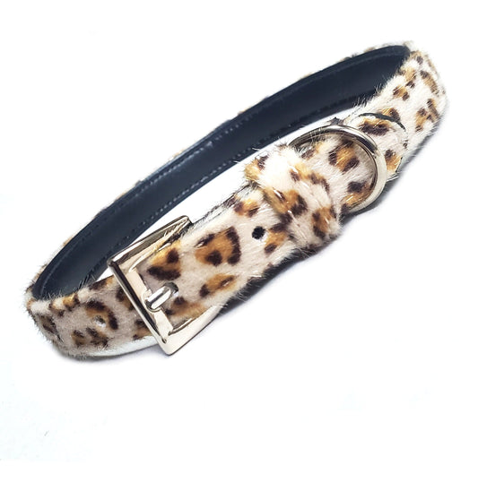 The Savannah Dog Collar