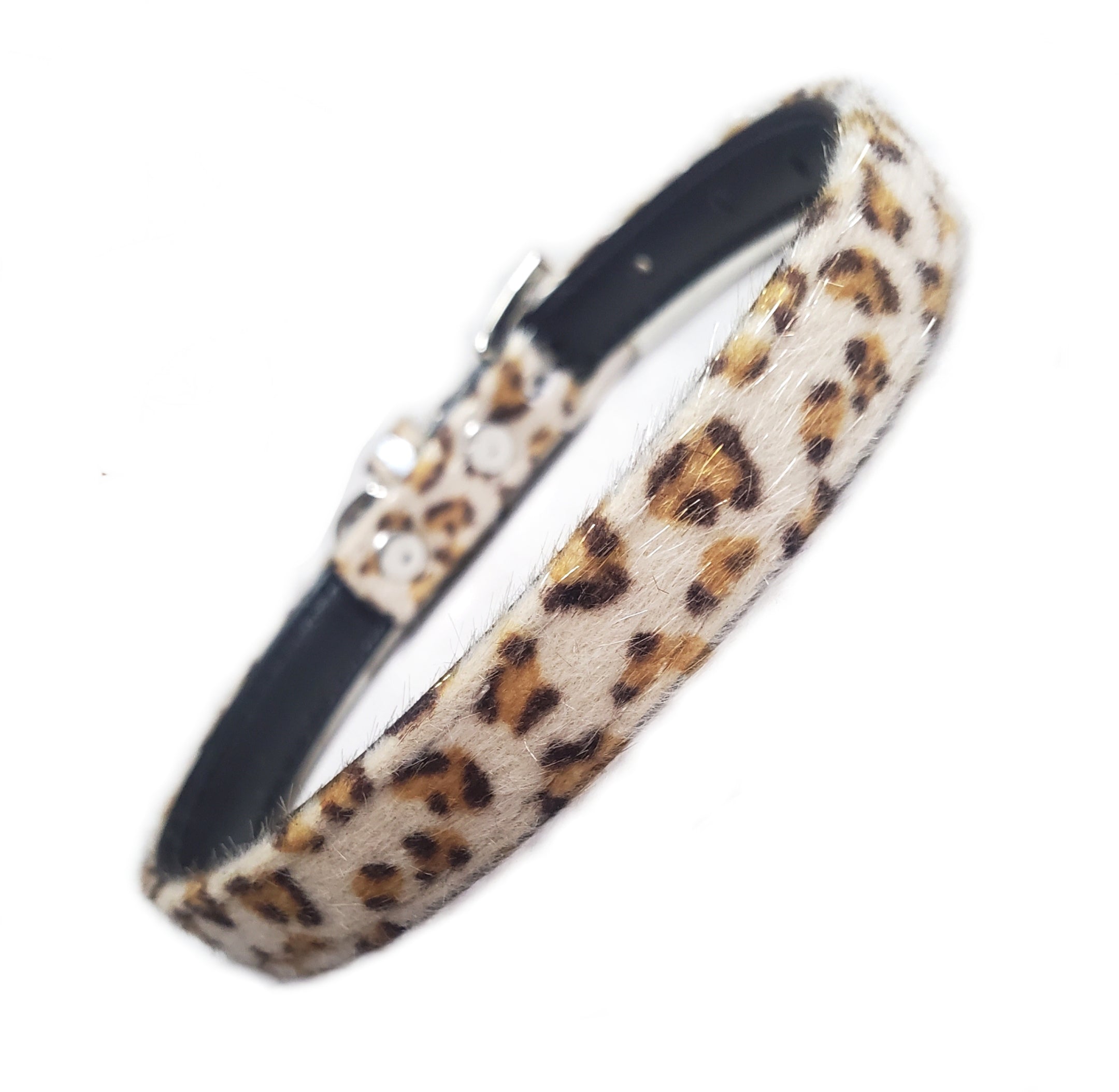 The Savannah Dog Collar