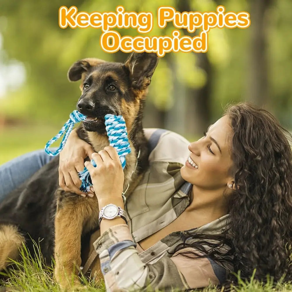 11-Piece Dog Toy Set – Chew Rope & Balls for Small to Large Dogs