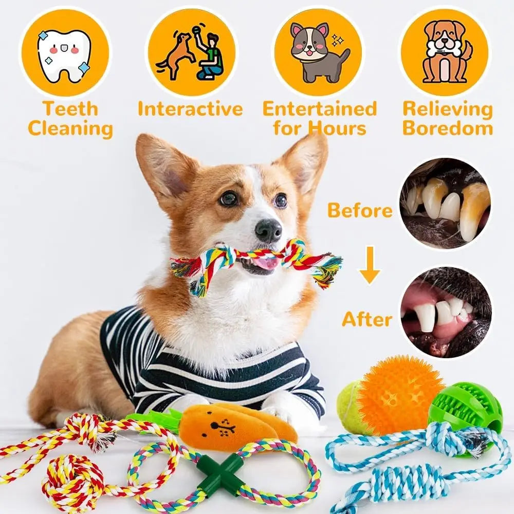 11-Piece Dog Toy Set – Chew Rope & Balls for Small to Large Dogs