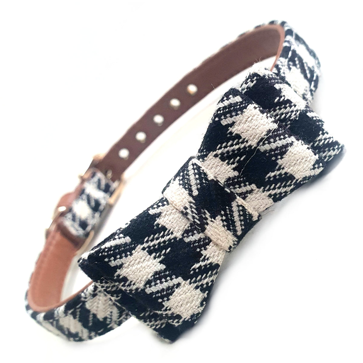 The Windsor Bow Collar