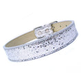 Load image into Gallery viewer, The Starlight Dog Collar & Lead Set
