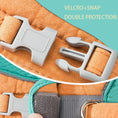 Load image into Gallery viewer, Comfort-Fit Colour Block Vest Harness and Leash
