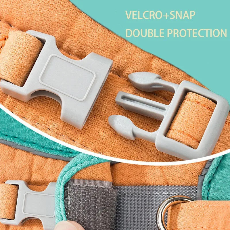 Comfort-Fit Colour Block Vest Harness and Leash