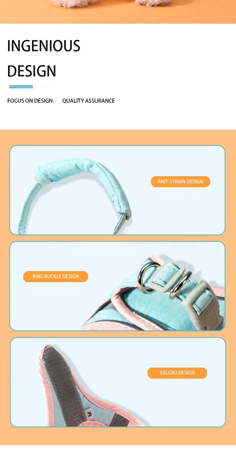 Comfort-Fit Colour Block Vest Harness and Leash