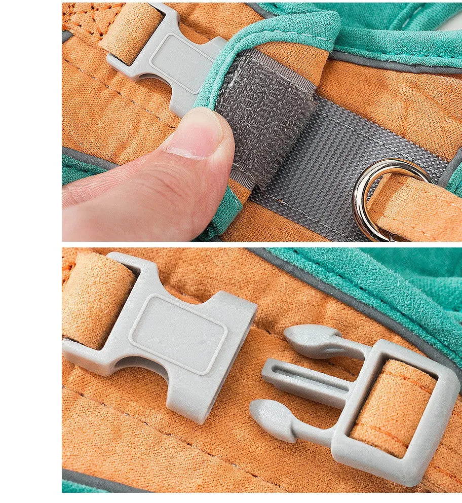 Comfort-Fit Colour Block Vest Harness and Leash