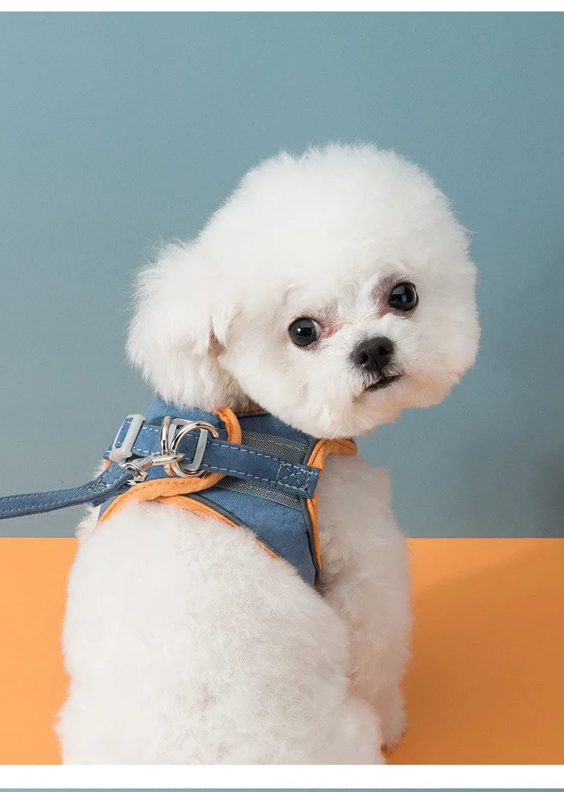 Comfort-Fit Colour Block Vest Harness and Leash