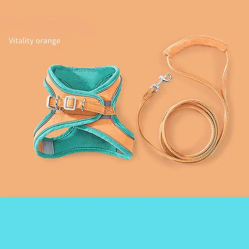 Comfort-Fit Colour Block Vest Harness and Leash