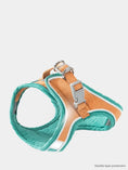 Load image into Gallery viewer, Comfort-Fit Colour Block Vest Harness and Leash
