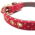 Load image into Gallery viewer, The Chelsea Dot Collar
