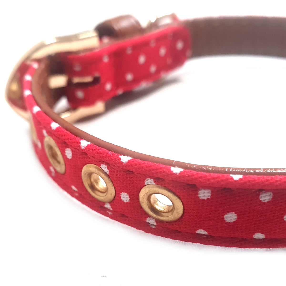 The Chelsea Dot Collar