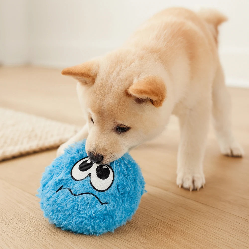 Loopy The Squeaky Plush Dog Toy