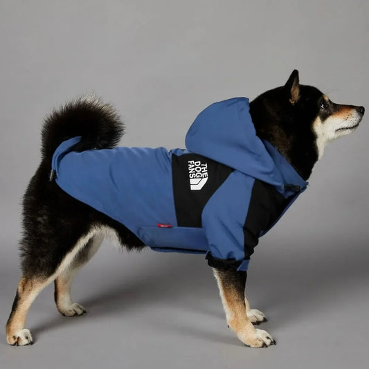Blue Windproof Dog Face Raincoat – Hoodie for Small & Large Dogs