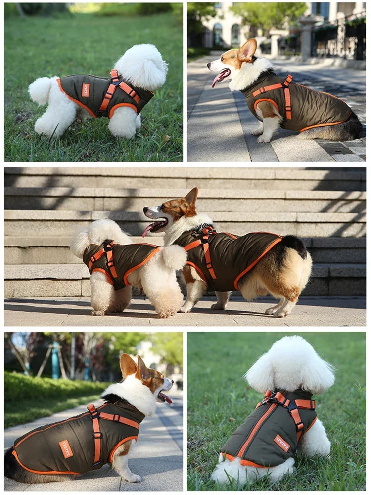 Waterproof Winter Warmner Puppy Jacket for Smaller Dogs