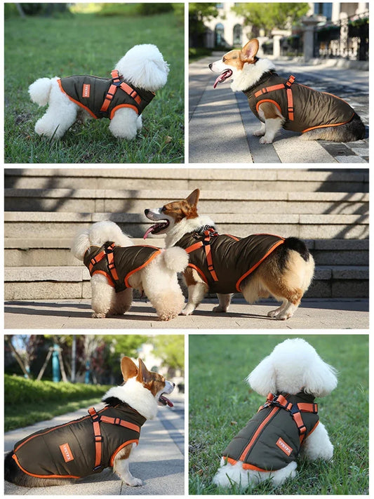 Waterproof Winter Warmner Puppy Jacket for Smaller Dogs