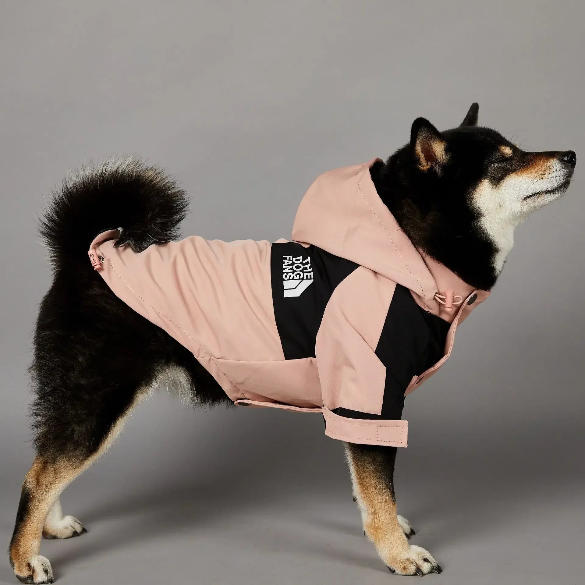 Pink Dog Face Raincoat with a Windproof Hood for Small and Large Dogs