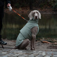 Load image into Gallery viewer, Waterproof & Dustproof Dog Jacket for Outdoor Adventures
