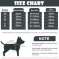 Load image into Gallery viewer, Waterproof & Dustproof Dog Jacket for Outdoor Adventures
