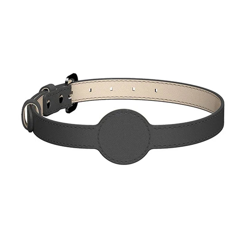 The 'found you!' AirTag dog collar