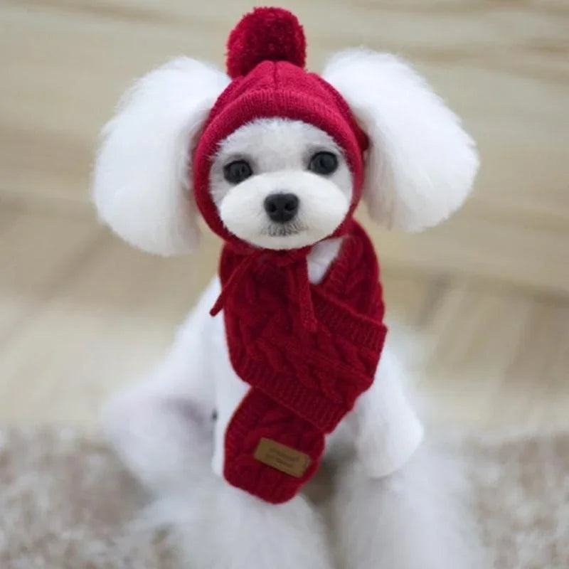 Red Winter Dog Hat & Scarf – Knitted Winter Wear for Puppies
