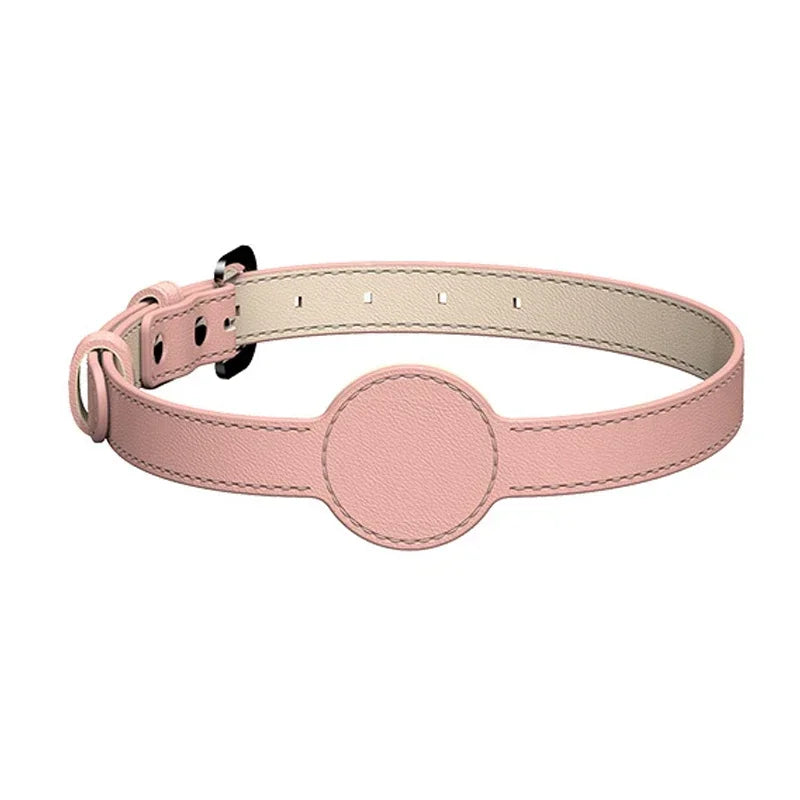 The 'found you!' AirTag dog collar