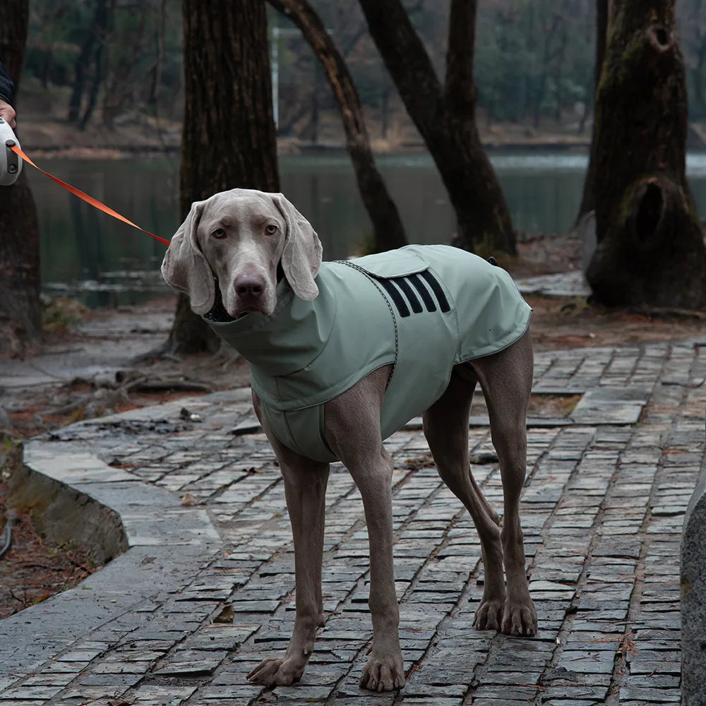 Waterproof & Dustproof Dog Jacket for Outdoor Adventures