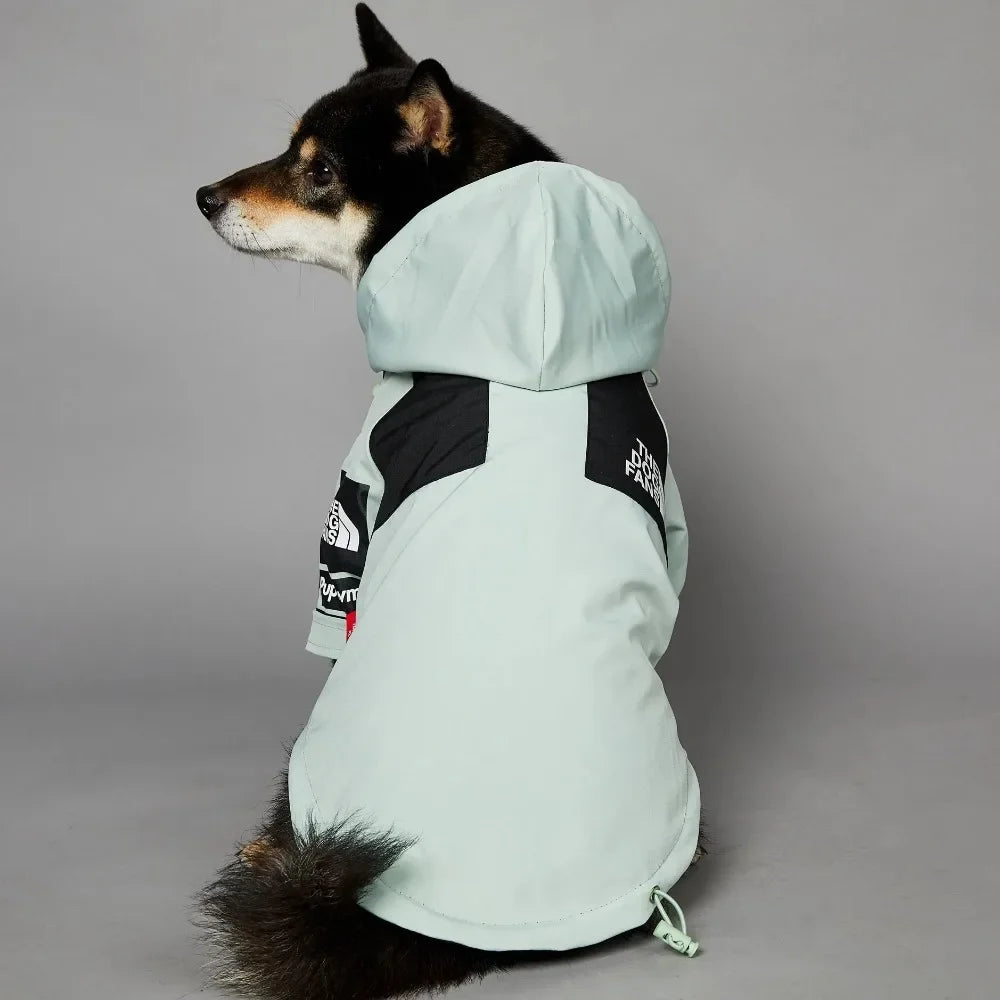 Light Green Windproof Dog Face Raincoat – Hoodie for Small & Large Dogs