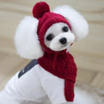 Load image into Gallery viewer, Red Winter Dog Hat & Scarf – Knitted Winter Wear for Puppies
