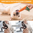 Load image into Gallery viewer, The Ultimate 15-Piece Dog Toys Variety Bumper Pack
