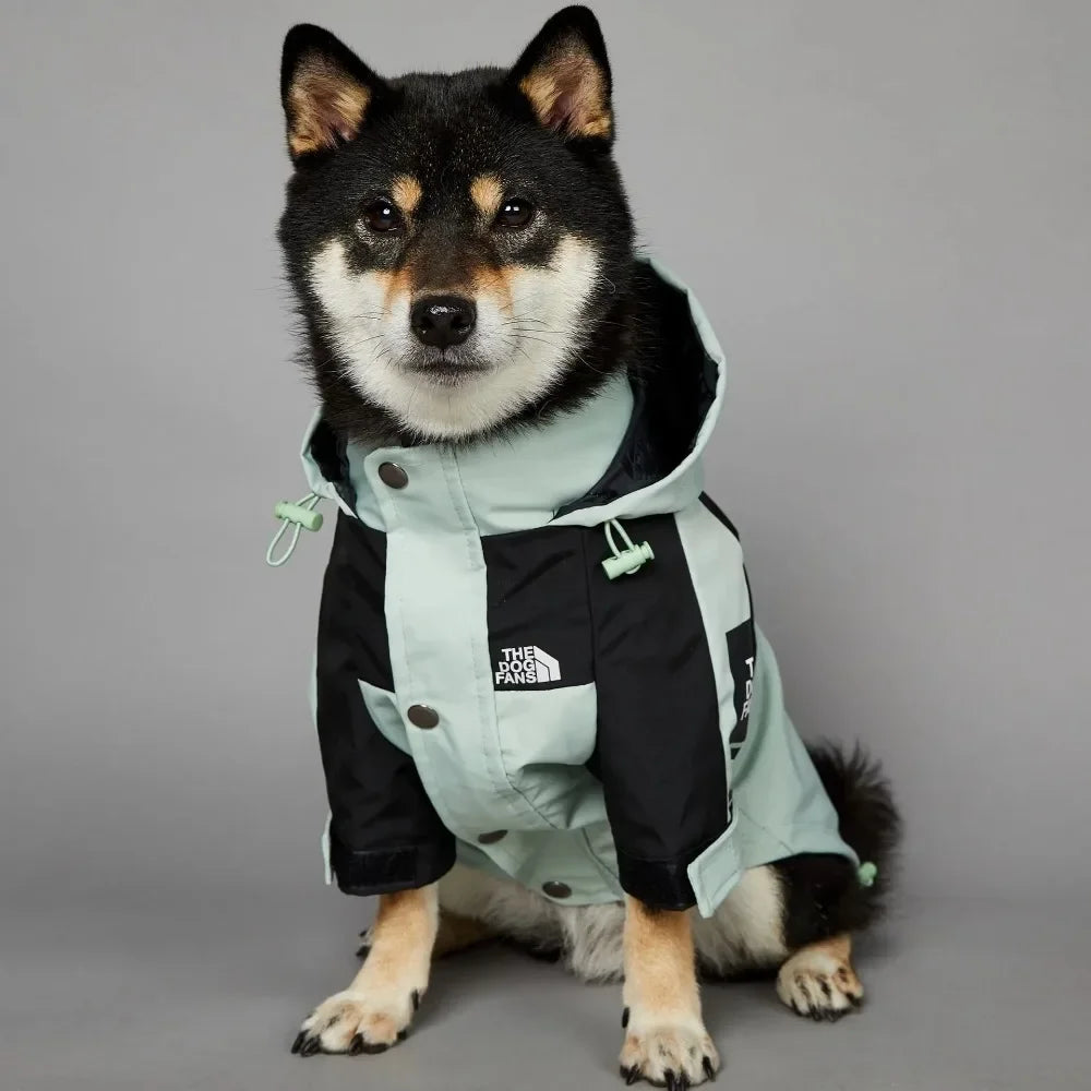 Light Green Windproof Dog Face Raincoat – Hoodie for Small & Large Dogs