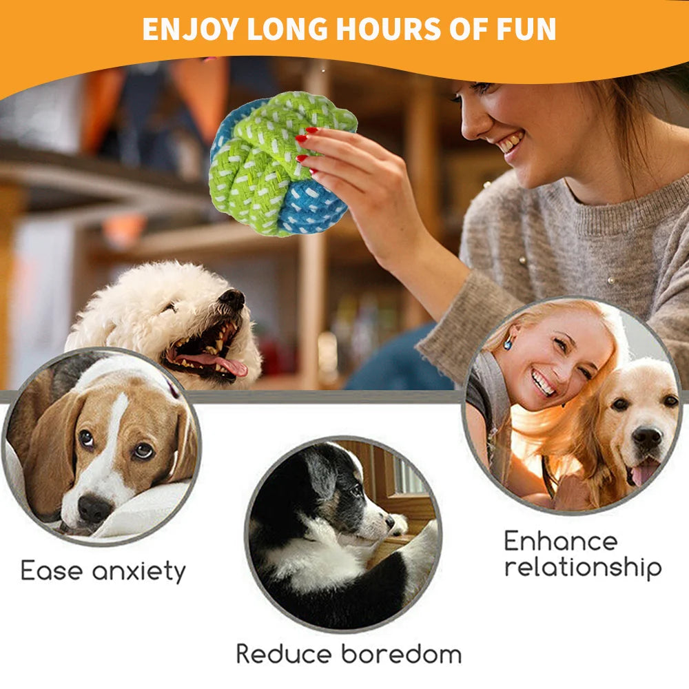 The Ultimate 15-Piece Dog Toys Variety Bumper Pack