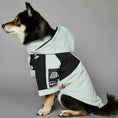Load image into Gallery viewer, Light Green Windproof Dog Face Raincoat – Hoodie for Small & Large Dogs
