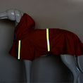 Load image into Gallery viewer, Waterproof Raincoat with Hood and Reflective Details for those Big Adventures Outdoors
