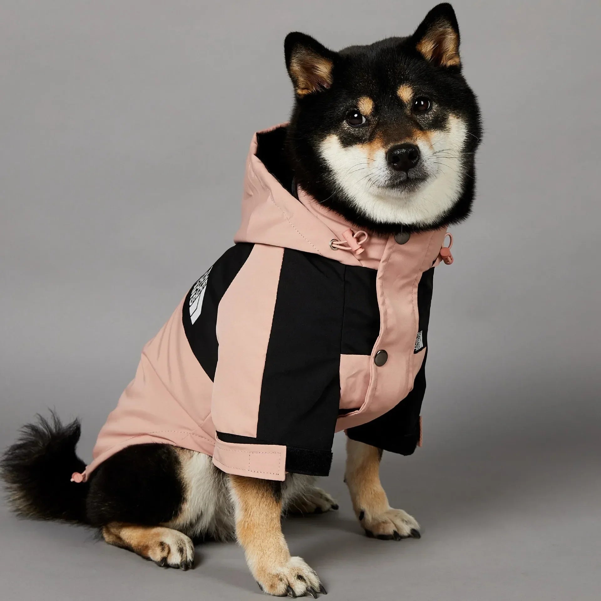 Pink Dog Face Raincoat with a Windproof Hood for Small and Large Dogs