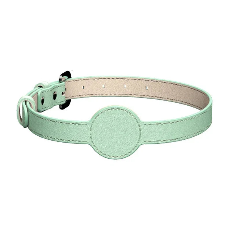 The 'found you!' AirTag dog collar