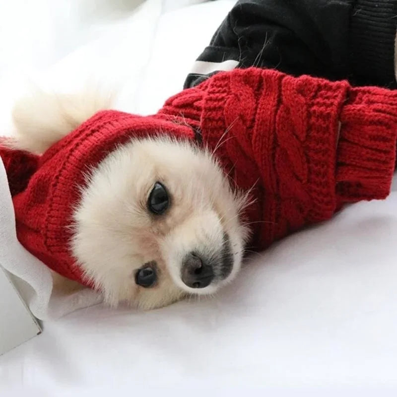 Red Winter Dog Hat & Scarf – Knitted Winter Wear for Puppies